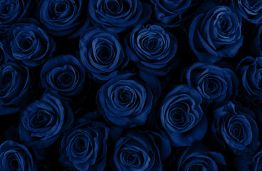 Beautiful blue roses background. Classic Blue color. Fashionable color