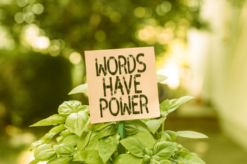 Text sign showing Words Have Power. Business photo showcasing Energy Ability to heal help hinder...