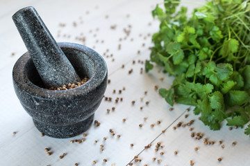 cilantro coriander seeds and leaves with granite mortar