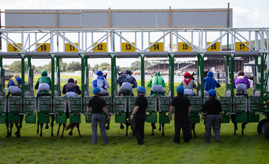Race horses sprinting out of the start gate, horse racing action 