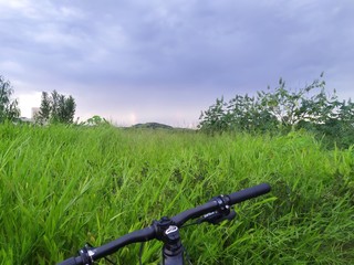 Fototapeta na wymiar bicycle on grass