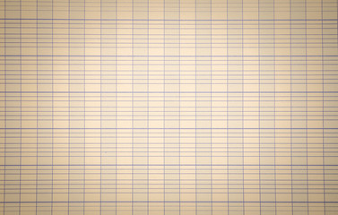 Graph paper texture for background or decoration concept