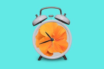 Old fashioned white alarm clock. Orange pansy instead of a dial