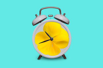 Old fashioned white alarm clock. Yellow pansy instead of a dial