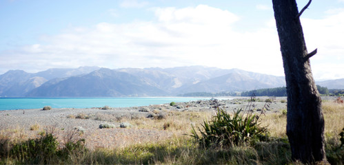 Fototapeta na wymiar Kaikoura New Zealand
