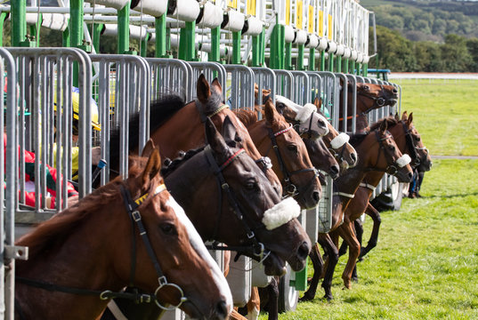 Start Gate Images Browse 67 Stock Photos Vectors And Video Adobe Stock