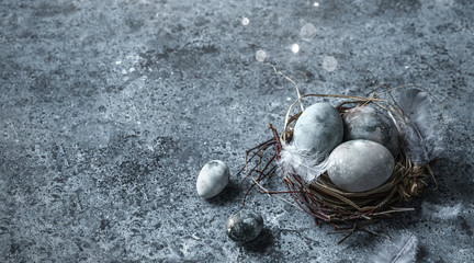 Easter eggs in bird nest with feathers on blue background. Happy Easter holiday