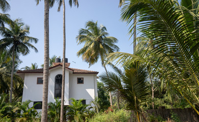 Fototapeta na wymiar Colourful house. A Modern Style House in Goa India. Residential building in the tropics