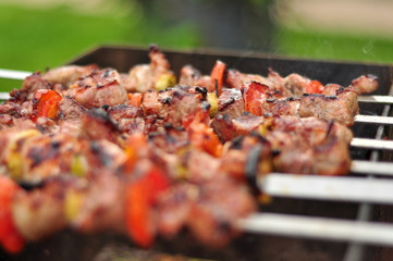 Pork Skewers On The Grill
