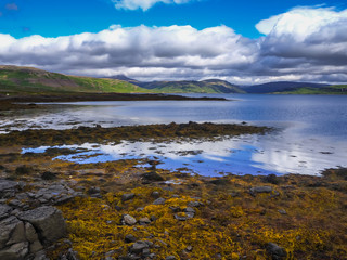 Fototapeta na wymiar View over Vatnsfjordur from the coast near Flokalundur in the Westfjords of Iceland