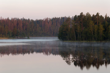 landscape on a forest lake