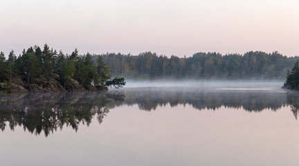 forest lake with fog