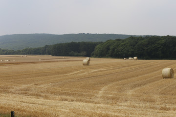 Obraz premium Heystack