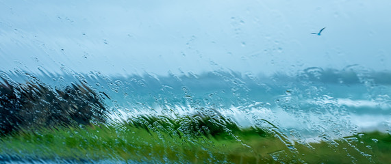 View through car window screen distorted and blurred with falling rain drops out over grassy cliff edge to stormy sea and seagull.