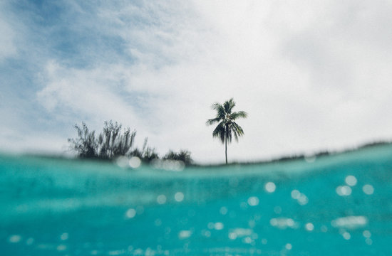 Tropical palm tree beach shot from the ocean