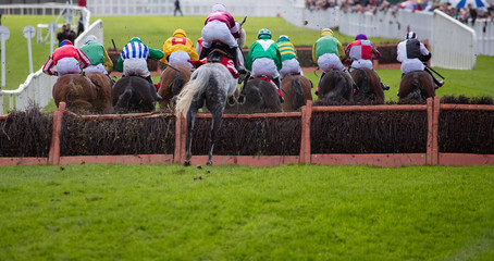 View from behind of Race horses and jockeys jumping a hurdle