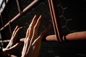 Hands holding on metal wire mesh fence.