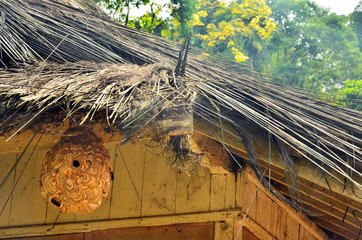 a palm fiber roof of ethnic wooden house with hanging beehive in Tasikmalaya, West Java, Indonesia
