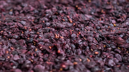 Grapes that are fermenting in a container to be made into wine. This is a personal batch used for the chef's AirBnB private cooking class experience in Italy.