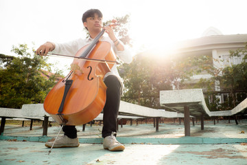 Musicians playing cello in the garden