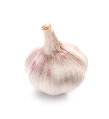 Fresh garlic on white background