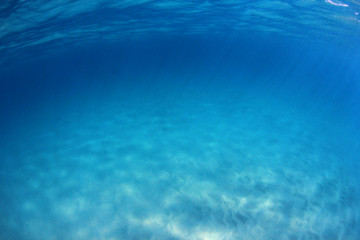 Underwater blue background in sea	