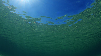 Fototapeta na wymiar Underwater blue background in sea 