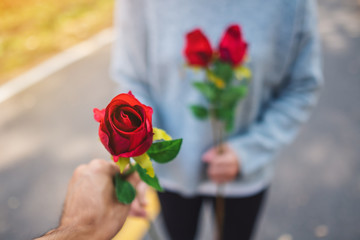 A women giving a red rose flower to her boyfriend on Valentine's day
