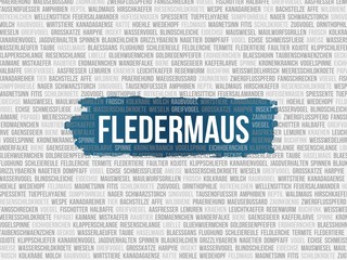 Fledermaus