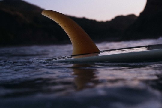 Surfboard floating in the ocean at sunset
