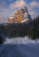 the road to winter wonderland