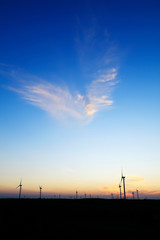 Fototapeta premium Wind turbines in the evening