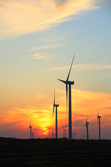 Wind turbines in the evening