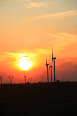 Obraz premium Wind turbines in the evening
