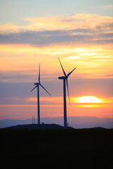 Obraz premium Wind turbines in the evening