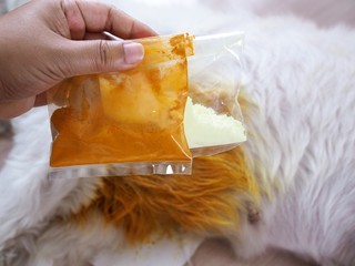 Turmeric powder and sulfur powder to treat itching and dermatitis of dog