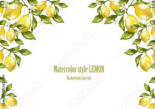 レモン 水彩 フレーム 植物 果実 実 フルーツ 飾り枠 フレーム おしゃれ Wall Mural Okaka08