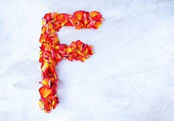 The letter of the English alphabet is lined with rose petals