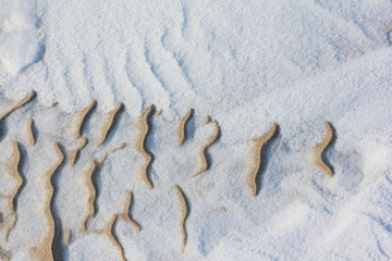 Snow and frozen sand by the river, natural background, Ob River, Siberia, Russia
