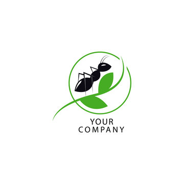 ant logo vector illustration. ant logo desing, symbol icon