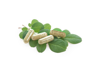 Horse radish tree capsule on white background