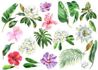 Set of watercolor flowers, branch of plumeria, magnolia, hibiscus, passiflora with green leaves, frangipani, passion flower, banana palm, palm tree, hand drawn jungle illustration. Stock illustration.