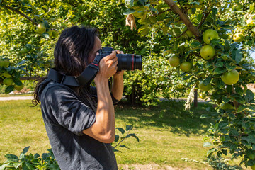 a caucasian young man with long hair in the apple orchard. side view of a photographer taking pictures of apples fruits with professional DSLR camera