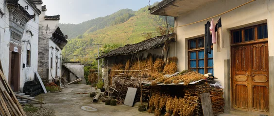Cercles muraux Monts Huang Séchage du soja dans le vieux village de Shangshe sur le lac Fengle Huangshan Chine avec des plants de thé sur la colline