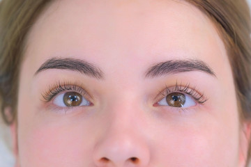 Woman's lashes after beauty procedure of eyelash lifting and laminating in beauty clinic, eyes closeup. Young woman in cosmetology clinic with open eyes. Lift of lash and eyelash.