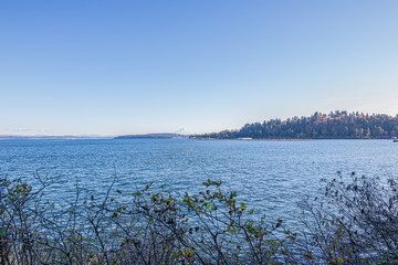 forest with walking path leading along the edge of the puget sound