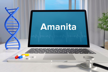 Amanita – Medicine/health. Computer in the office with term on the screen. Science/healthcare