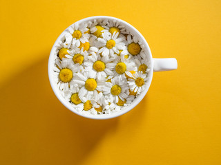 Herbal tea with fresh chamomile flowers in a cup