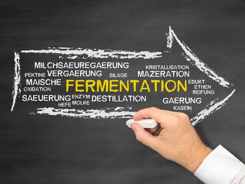 Fermentation