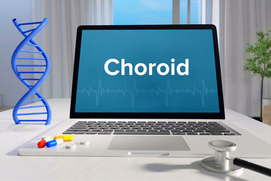 Choroid – Medicine/health. Computer in the office with term on the screen. Science/healthcare